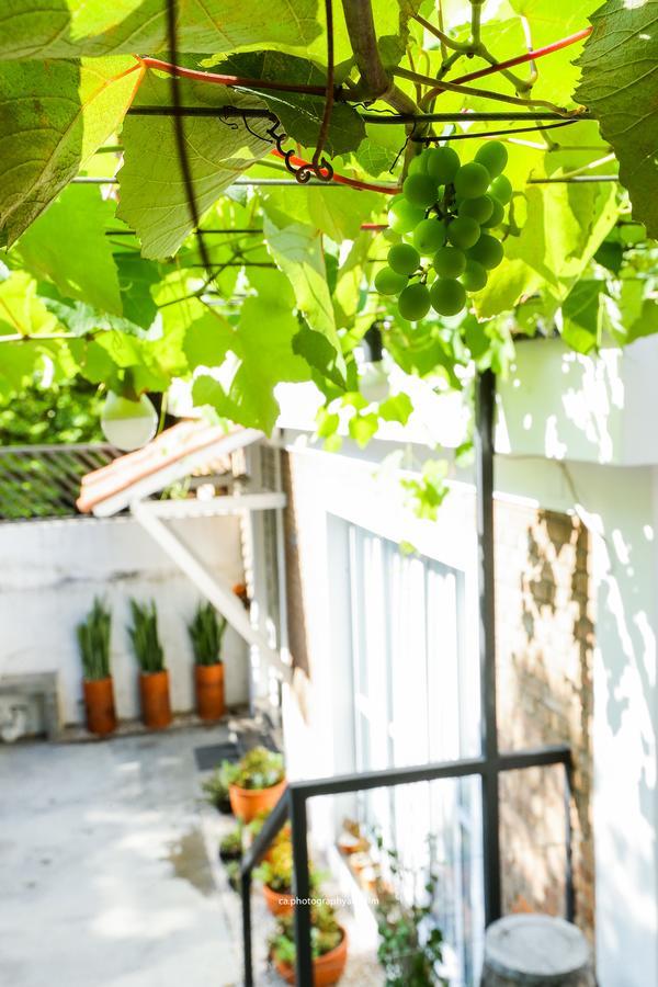 Hostel Grape Wine São Paulo Exteriör bild
