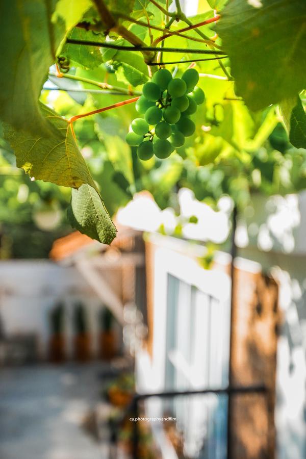 Hostel Grape Wine São Paulo Exteriör bild